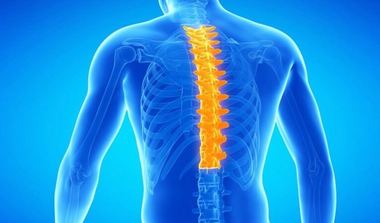 Osteohondroza torakalne hrbtenice